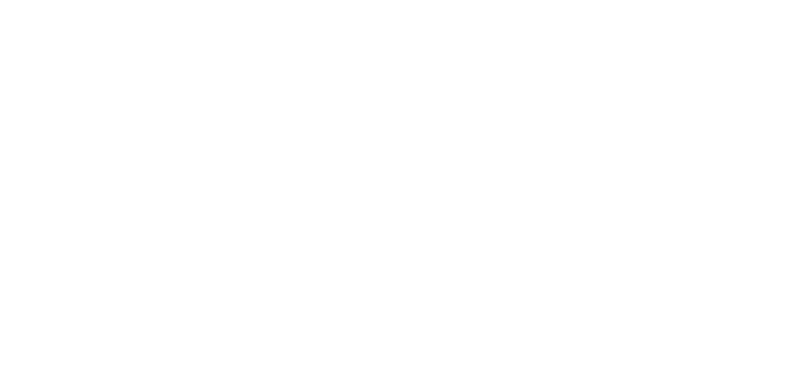 Everlight Agency